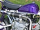 Conan St-50