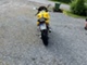 Suzuki SV
