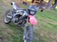 Aprilia SX