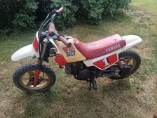 Yamaha PW