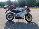 Aprilia RS