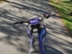 Yamaha WR