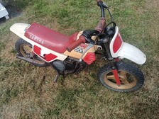 Yamaha PW