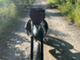 Yamaha DT