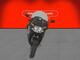 BMW K