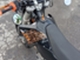 KTM 530
