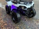 Polaris Sportsman