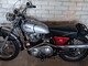 Norton -