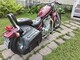 Suzuki Intruder