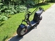 E-Go Evolution