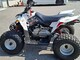 Polaris Outlaw
