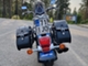 Suzuki Intruder