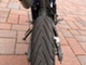 Yamaha WR