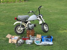 Honda Monkey