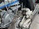 KTM 250