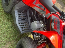 Can-Am DS