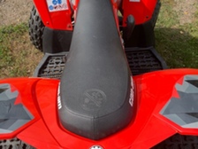 Can-Am DS