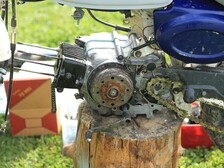 Honda Monkey