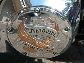 Harley-Davidson Softail