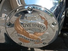 Harley-Davidson Softail