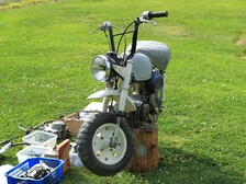 Honda Monkey