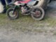 Beta RR