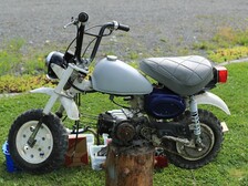 Honda Monkey