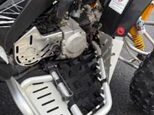 Can-Am DS