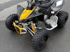 Can-Am DS