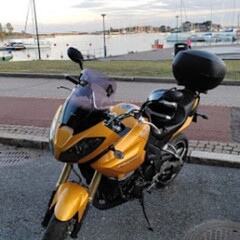 Triumph Tiger