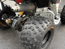 Can-Am DS