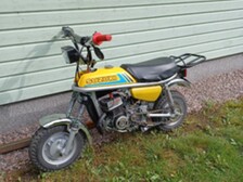 Suzuki PV