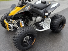 Can-Am DS