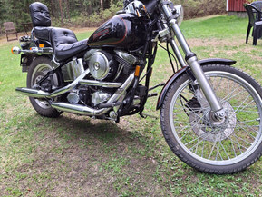Harley-Davidson Softail