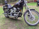 Harley-Davidson Softail