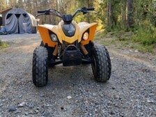 Can-Am DS