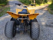 Can-Am DS