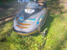 Lynx G-type