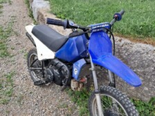 Yamaha PW
