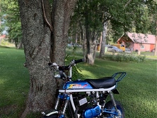Suzuki PV