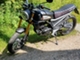 Mash Falcone 125