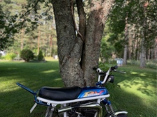 Suzuki PV