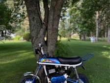 Suzuki PV