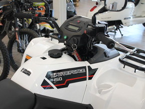 Kawasaki Brute Force