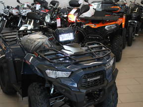 Kawasaki Brute Force