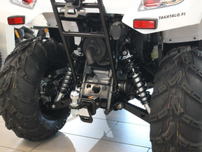 Kawasaki Brute Force