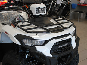 Kawasaki Brute Force