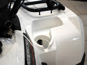 Kawasaki Brute Force