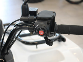 Kawasaki Brute Force