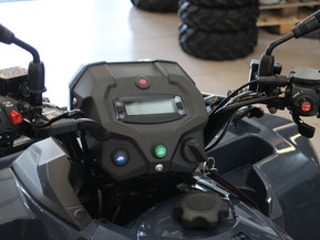 Kawasaki Brute Force